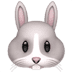 :rabbit: :rabbit: